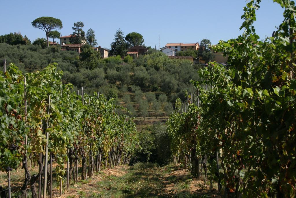 Bed and Breakfast Casa Fontanino Altopascio Exterior foto